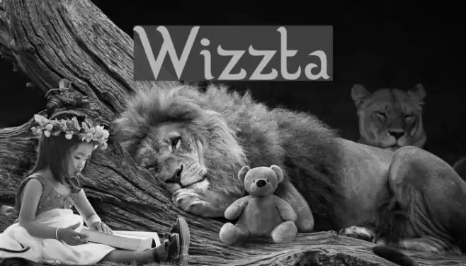 Wizzta Polices examples