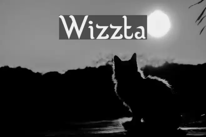 Wizzta Polices examples