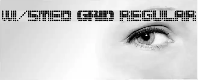 wi/5Med Grid Regular Font examples