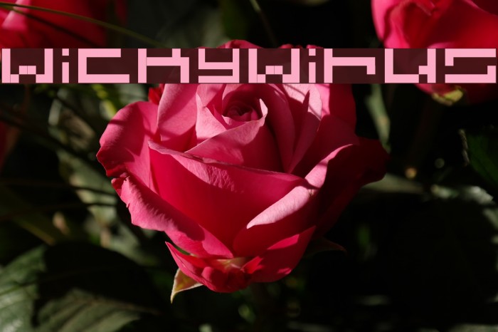 wickywirus Example 2