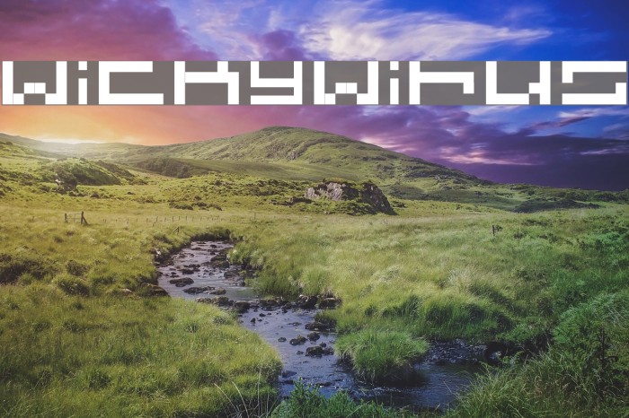 wickywirus Example 3