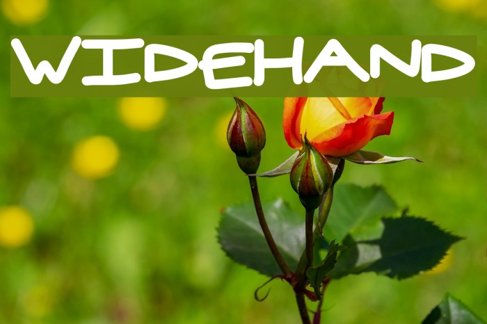 widehand Font examples
