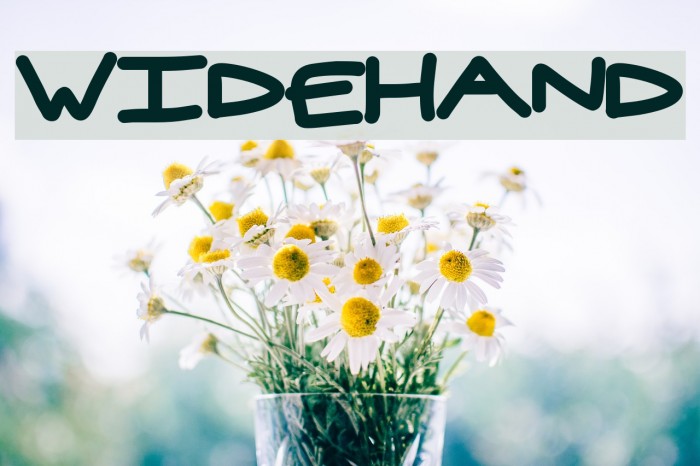 widehand Font examples