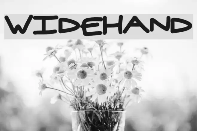 widehand Font examples