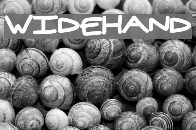 widehand Font examples