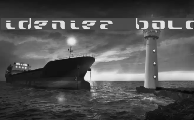 widzeniea bold Font examples