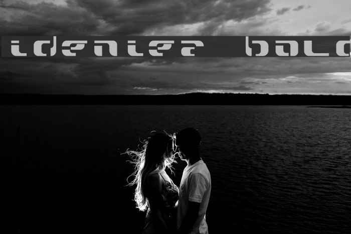 widzeniea bold Font examples