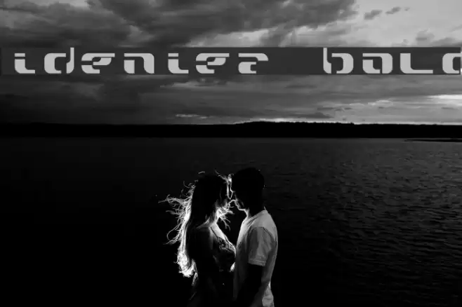 widzeniea bold Font examples