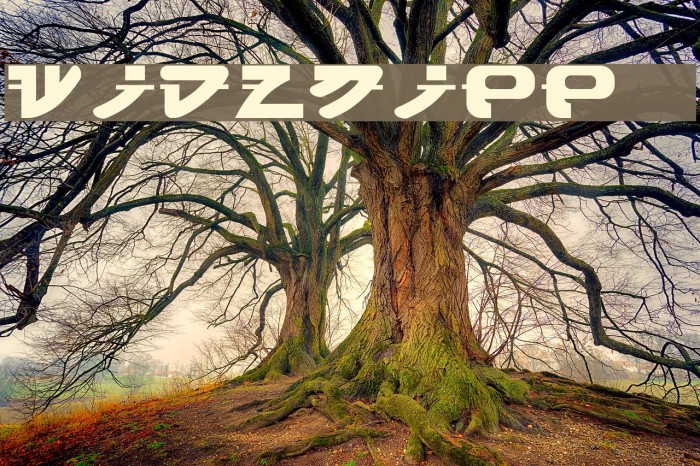 widznipp 1 Font examples