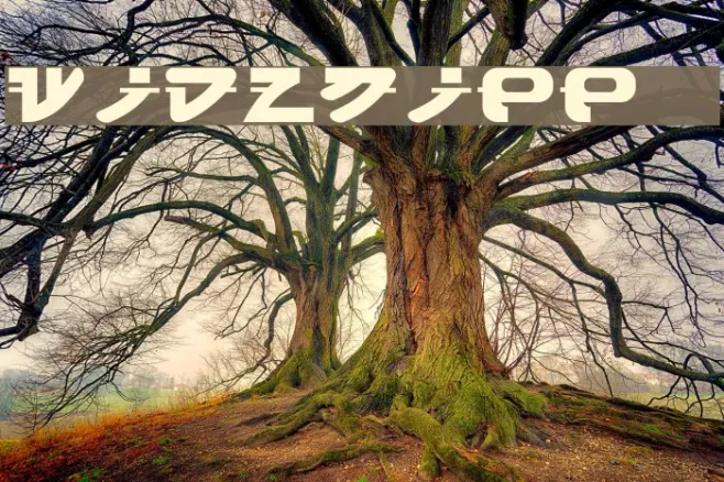 widznipp 1 Example 2