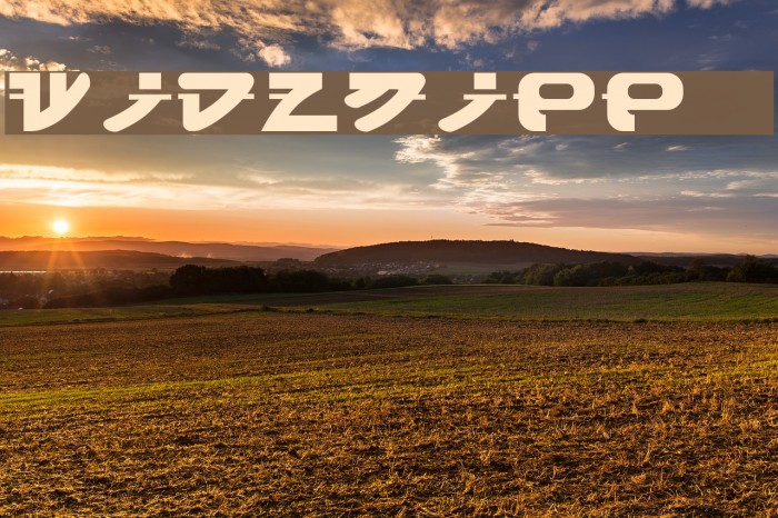 widznipp 1 Font examples