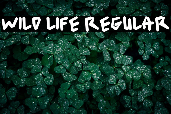 wild life Regular Example 3