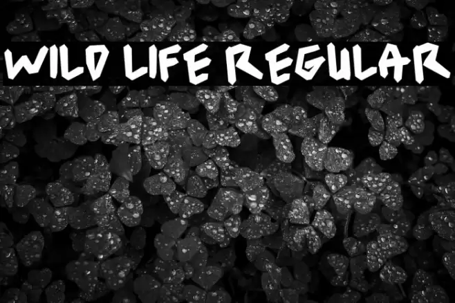 wild life Regular फ़ॉन्ट examples