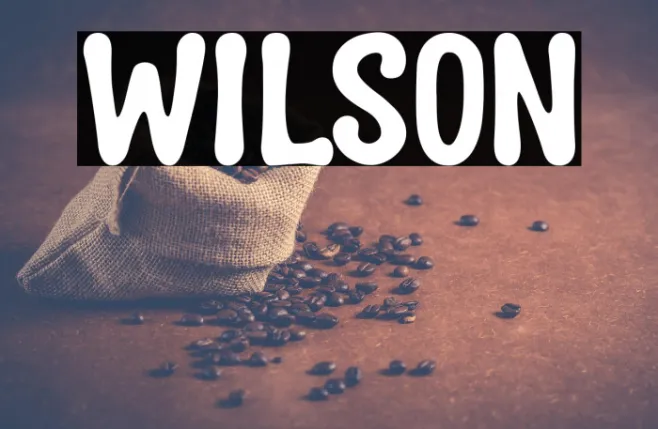 wilson Example 2
