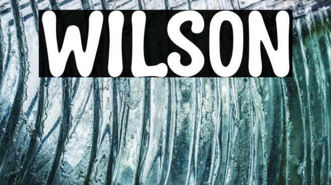 wilson Example 3