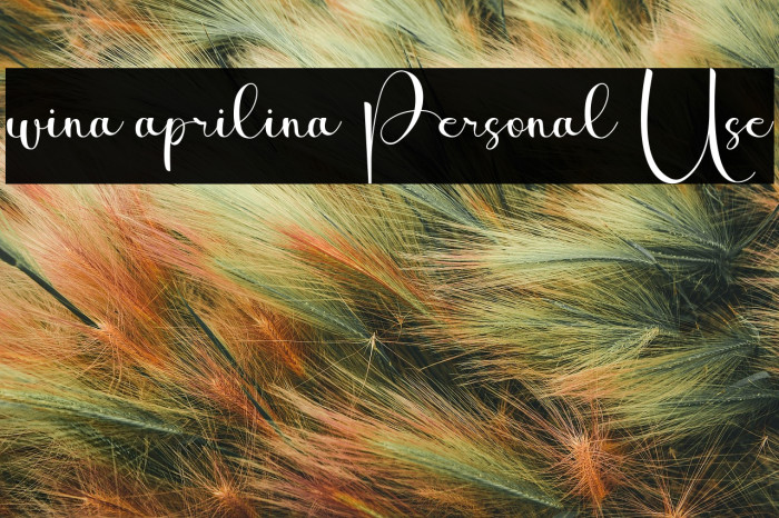 wina aprilina Personal Use Example 1