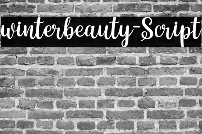 winterbeauty-Script Font examples