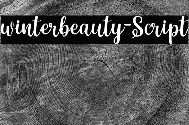 winterbeauty-Script Font examples