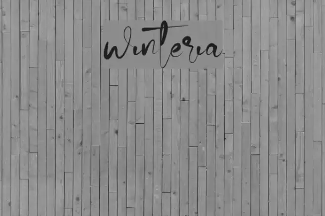winteria Font examples