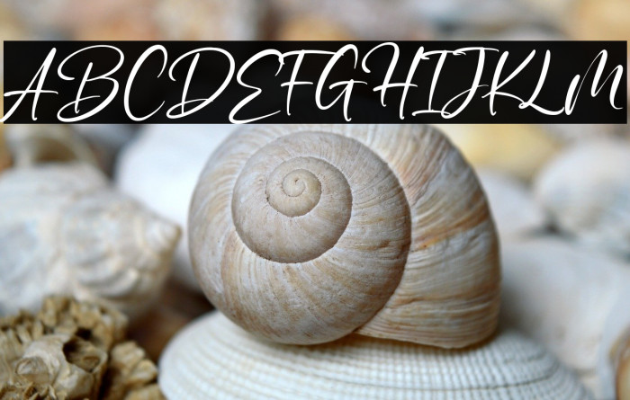 winterline Example 2