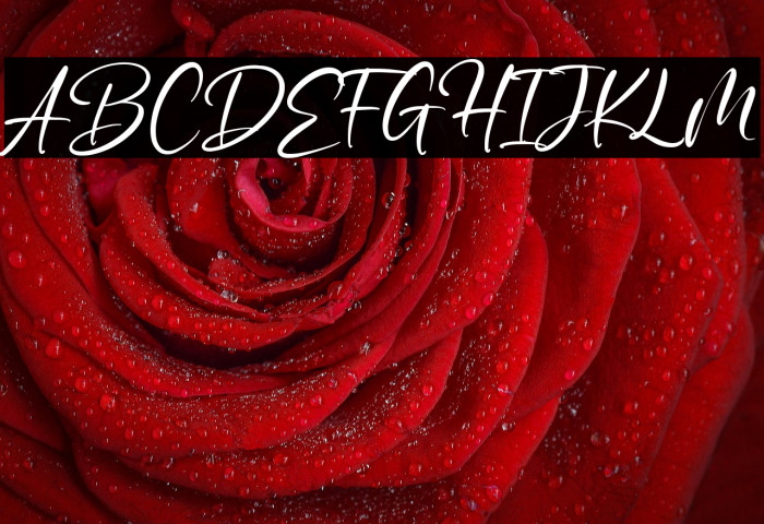 winterline Example 3