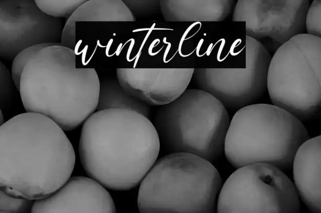 winterline Font examples
