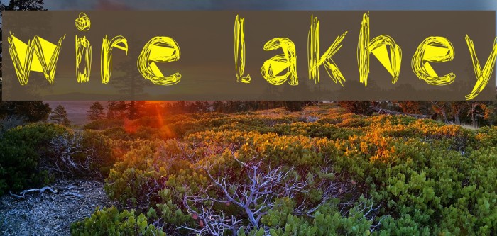 wire lakhey Example 1