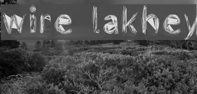 wire lakhey Font examples