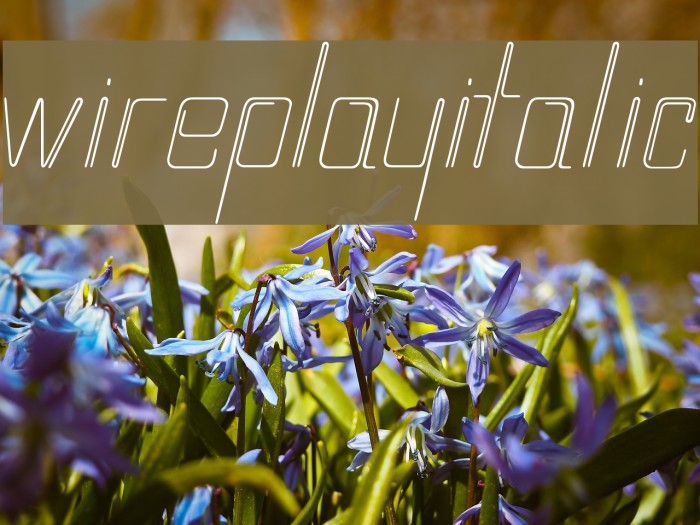 wireplayItalic Font examples