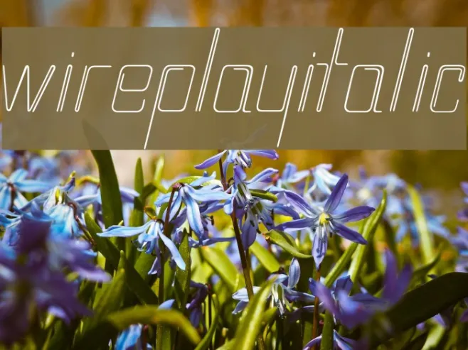 wireplayItalic Example 3