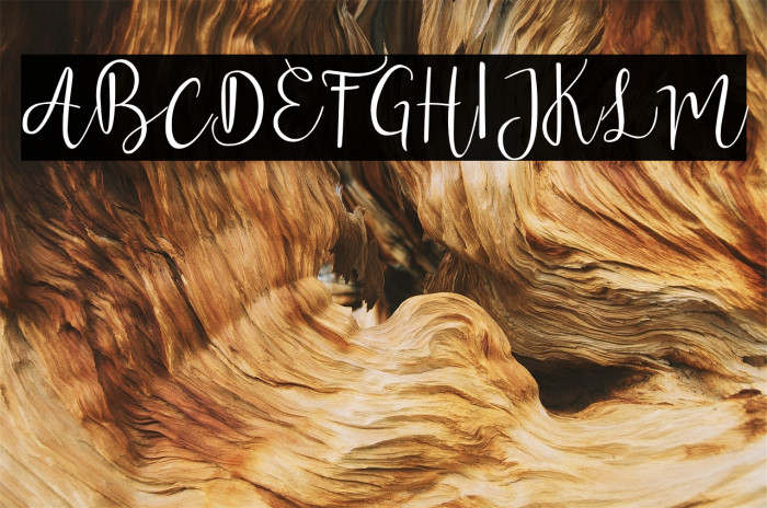 wisteria 字体 examples