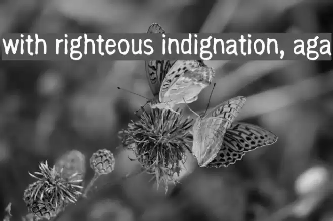 with righteous indignation, aga Font examples