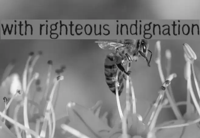 with righteous indignation Шрифта examples