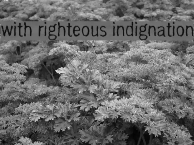 with righteous indignation Шрифта examples