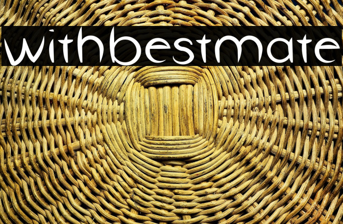 withbestmate Example 1