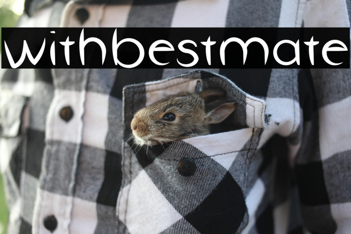 withbestmate Example 3