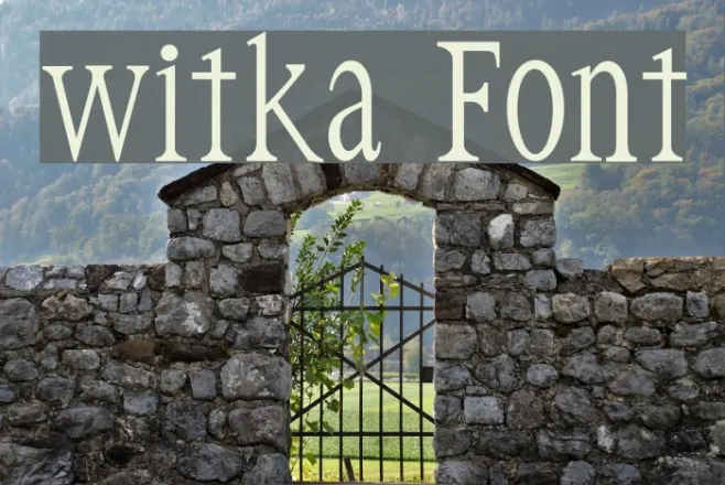 witka Example 1