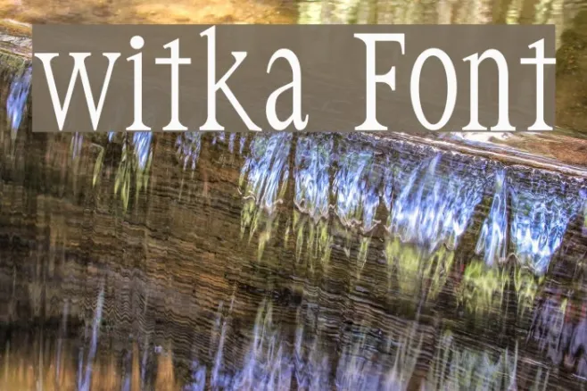 witka Example 3