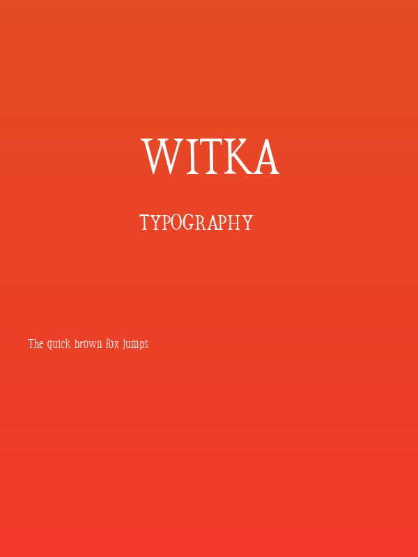 witka Poster