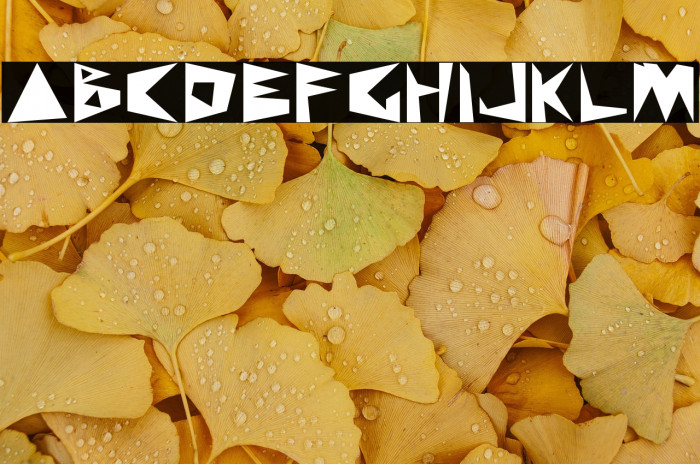 WKWKWK LAND Example 2