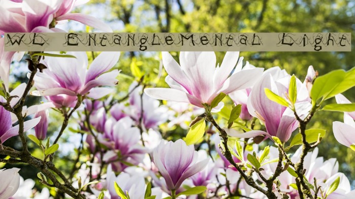 WL EntangleMental Light Font examples
