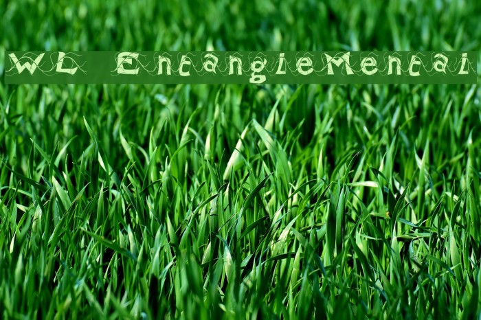 WL EntangleMental Example 2