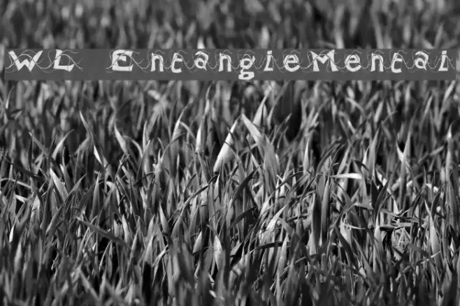 WL EntangleMental Font examples