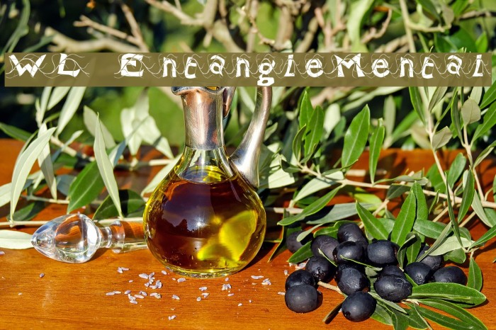 WL EntangleMental Example 3