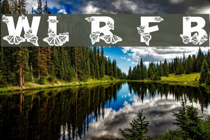 WL Royal Flutter Bold Example 2