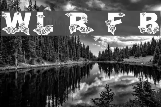 WL Royal Flutter Bold Font examples