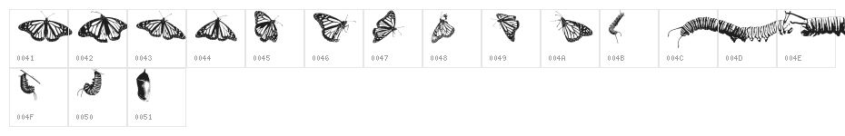 WL Royal Flutter Dingbats Character Map