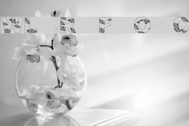 WL Royal Flutter Open Caps Font examples