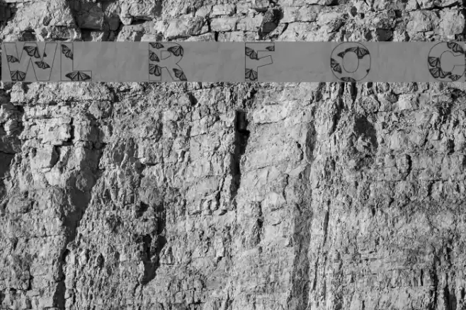 WL Royal Flutter Open Caps Font examples