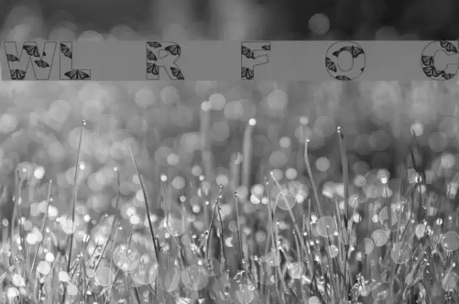 WL Royal Flutter Open Caps Font examples